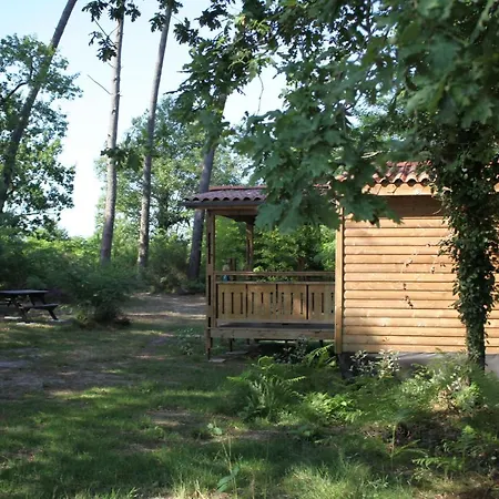 Domek alpejski Le Gahoun - *