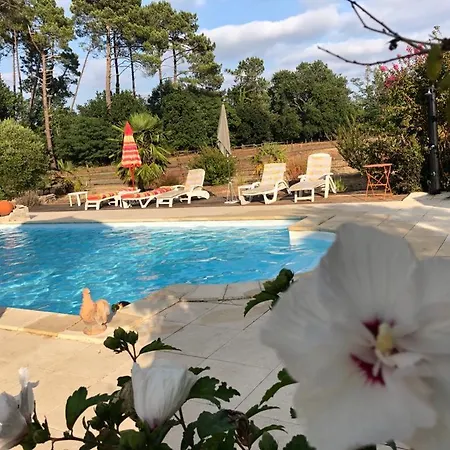 Le Gahoun - * Castets