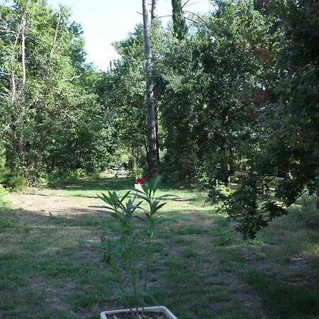 Le Gahoun - * كاستيتس