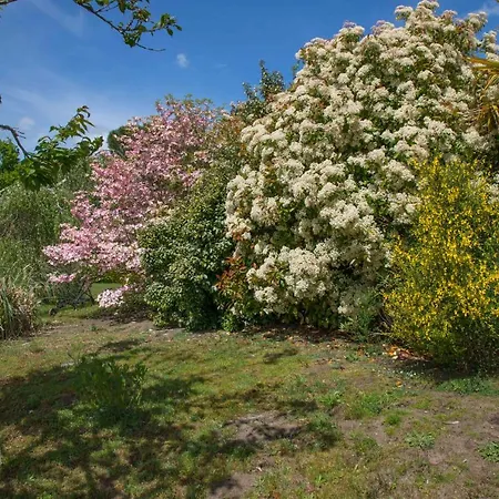 Chalet Le Gahoun - *