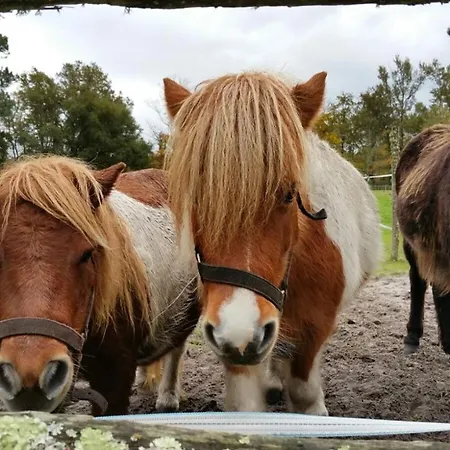 Alpstuga Le Gahoun - *