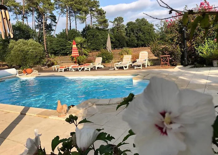 Le Gahoun - * كاستيتس