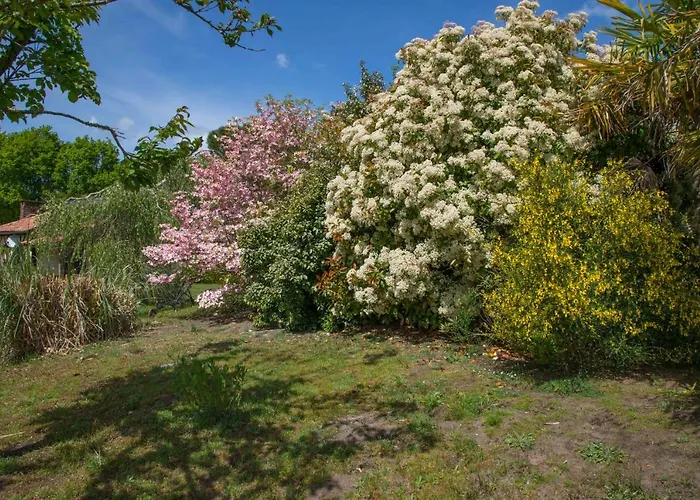 Chalet Le Gahoun - *